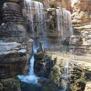 Meet your Posher, Cadie